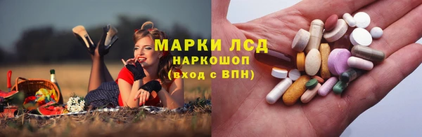 дживик Абаза