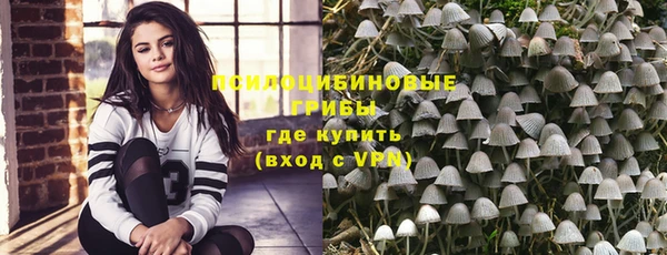 дживик Абаза