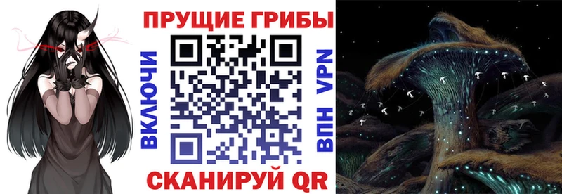 Галлюциногенные грибы Cubensis  как найти наркотики  Алатырь 